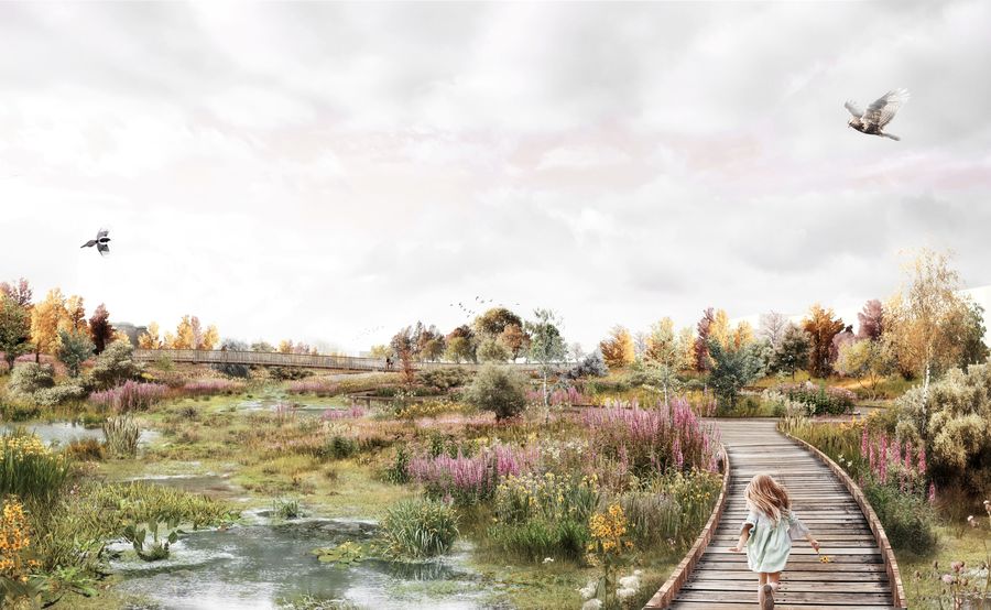 Toekomstbeeld Ringpark Het Schijn natuureiland na 5 jaar
